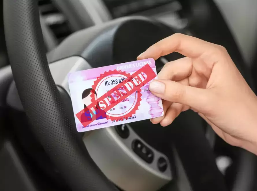 Driver holding a suspended license inside a vehicle, representing an Illinois license suspension that may qualify for a hardship permit.
